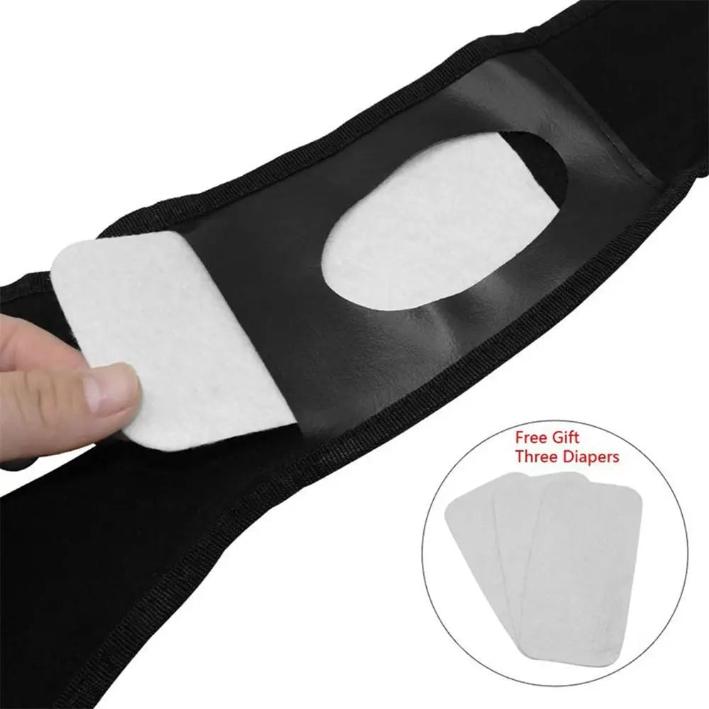Adjustable Easy To Wear Menstrual Period Physiological Pants With 3 Diapers Dog Shorts Panties Pet Sanitary Pants
