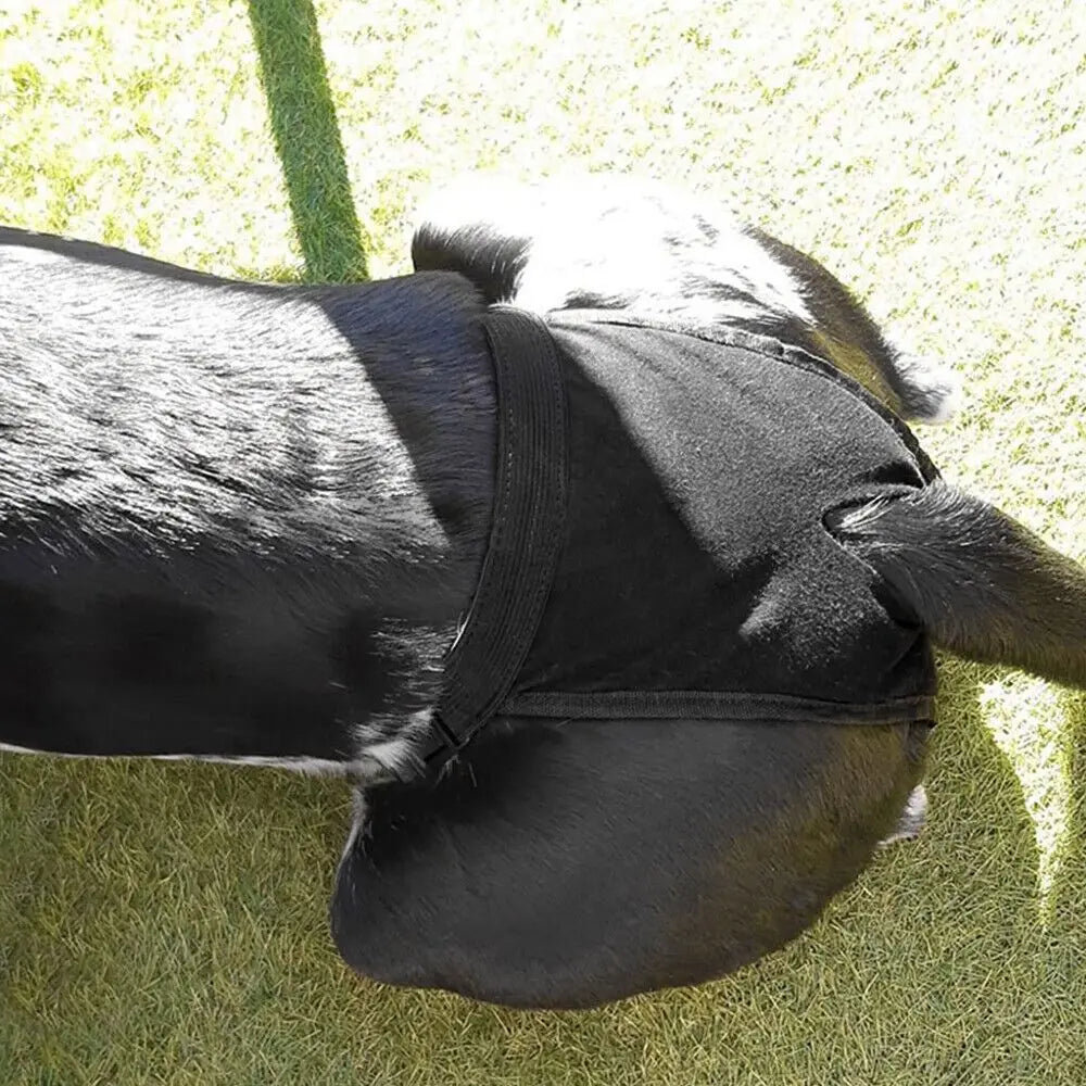 Adjustable Easy To Wear Menstrual Period Physiological Pants With 3 Diapers Dog Shorts Panties Pet Sanitary Pants