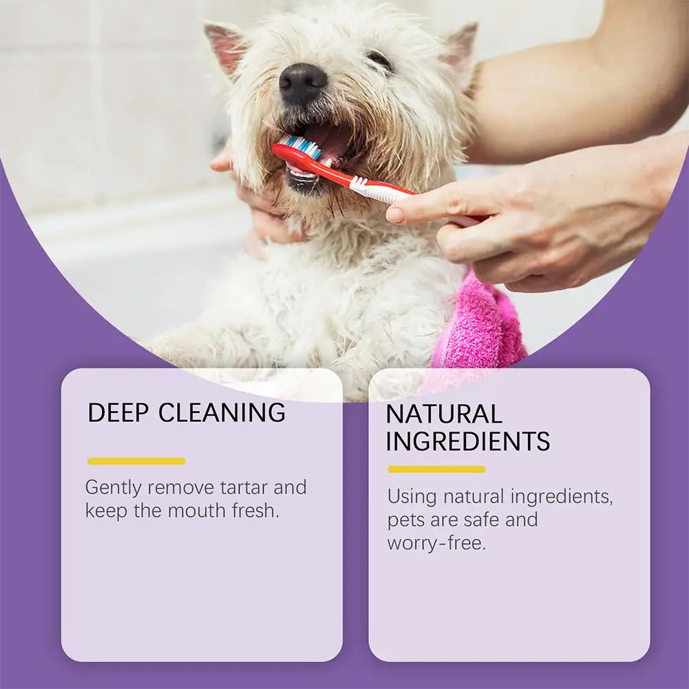 100g Pet Teeth Cleaning Toothpaste For Dog Cat Safe Effective Tartar Remover Breath Freshener Probiotic Paste With Coconut