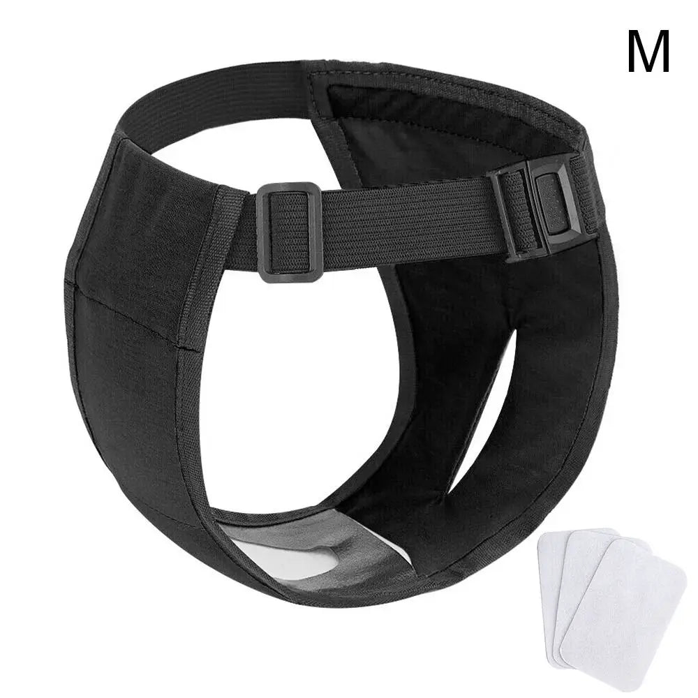 Adjustable Easy To Wear Menstrual Period Physiological Pants With 3 Diapers Dog Shorts Panties Pet Sanitary Pants