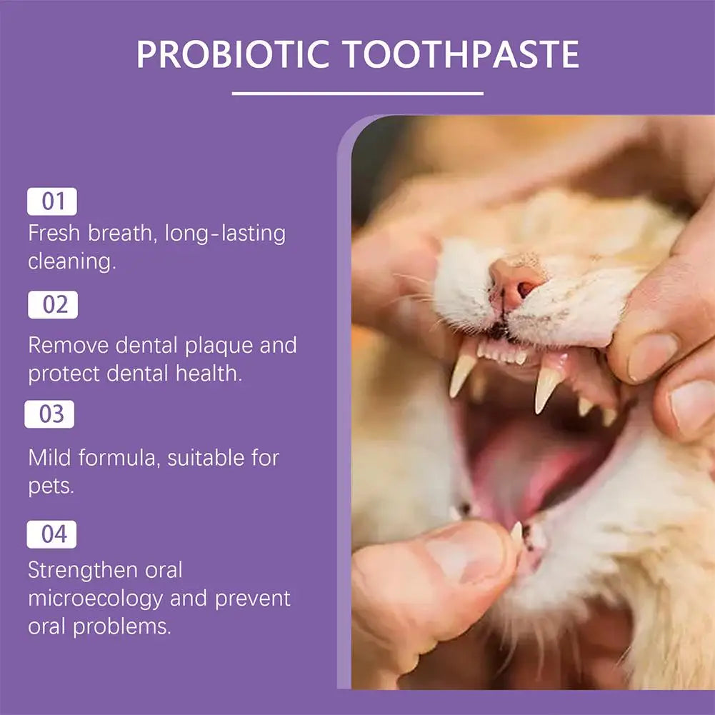 100g Pet Teeth Cleaning Toothpaste For Dog Cat Safe Effective Tartar Remover Breath Freshener Probiotic Paste With Coconut