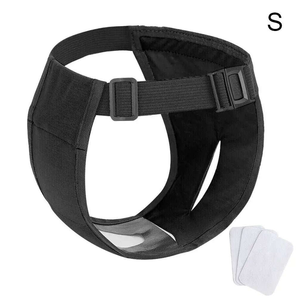 Adjustable Easy To Wear Menstrual Period Physiological Pants With 3 Diapers Dog Shorts Panties Pet Sanitary Pants