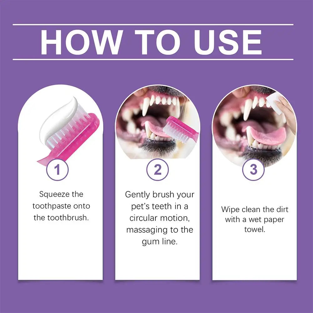 100g Pet Teeth Cleaning Toothpaste For Dog Cat Safe Effective Tartar Remover Breath Freshener Probiotic Paste With Coconut