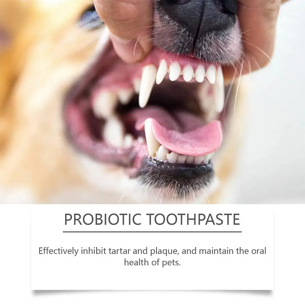 100g Pet Teeth Cleaning Toothpaste For Dog Cat Safe Effective Tartar Remover Breath Freshener Probiotic Paste With Coconut
