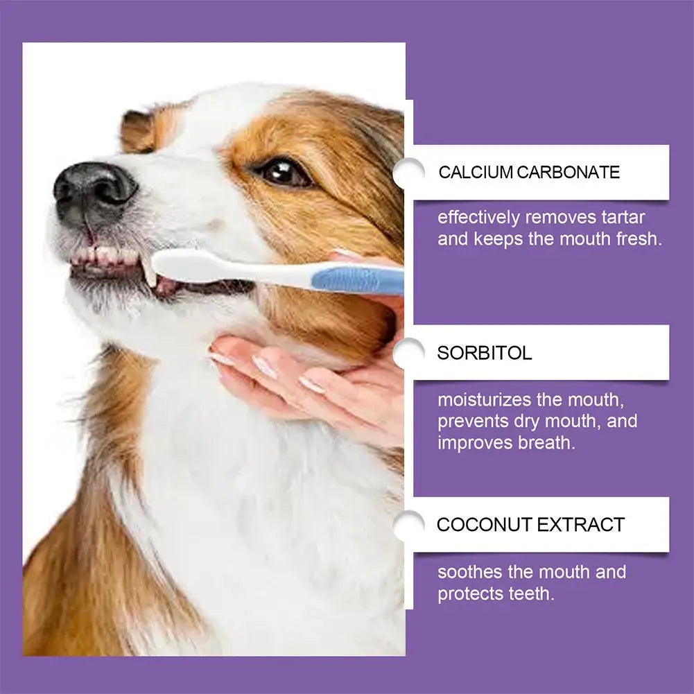 100g Pet Teeth Cleaning Toothpaste For Dog Cat Safe Effective Tartar Remover Breath Freshener Probiotic Paste With Coconut